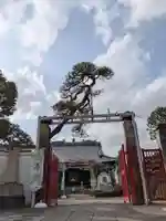 長善寺(東京都)