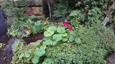 林泉寺(静岡県)