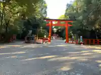賀茂御祖神社(下鴨神社)の鳥居