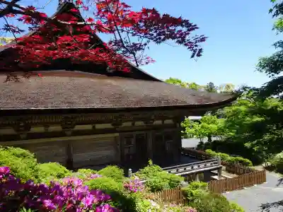 常樂寺(滋賀県)