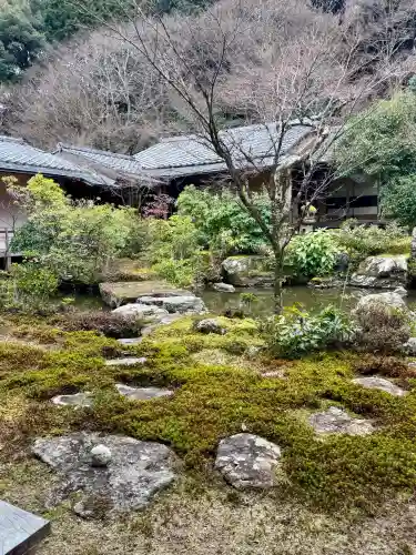 実相院門跡の{uncategorized: "未分類", other: "その他", undefined: "問題あり", building: "その他建物", grave: "お墓", sacred_gate: "鳥居", guardian: "狛犬", statue: "像", buddha: "仏像", history: "歴史", nature: "自然", garden: "庭園", animal: "動物", pagoda: "塔", temizu: "手水舎", mountain_gate: "山門・神門", sanctuary: "本殿・本堂", subordinate: "末社・摂社", art: "芸術", scenery: "景色", jizo: "地蔵", ema: "絵馬", goshuin: "御朱印", omikuji: "おみくじ", items: "授与品その他", amulet: "お守り", goshuincho: "御朱印帳", eats: "食事", festival: "お祭り", votive_dance: "神楽", shichigosan: "七五三参", wedding: "結婚式", experience: "体験その他", initially: "初詣", around: "周辺", anti_infection: "感染症対策"}