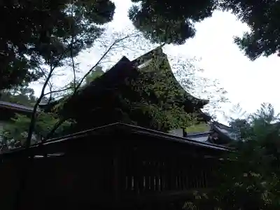 龍尾神社(静岡県)
