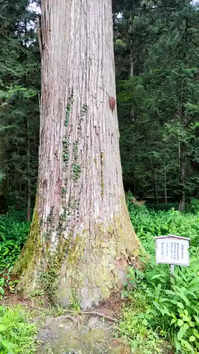 小國神社(静岡県)