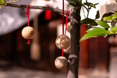 元祇園梛神社・隼神社(京都府)