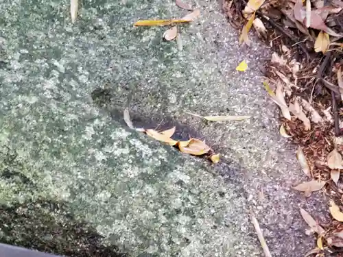 宇佐八幡神社の建物その他