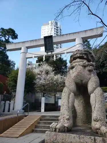 乃木神社の鳥居