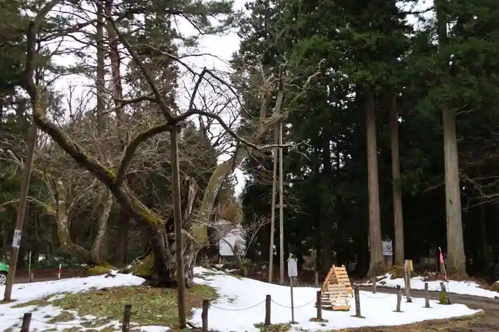 磐椅神社の自然