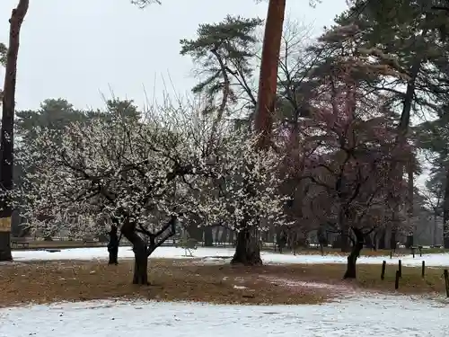 埼玉縣護國神社(埼玉県)