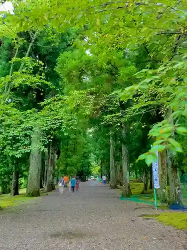 大斎原（熊野本宮大社旧社地）(和歌山県)