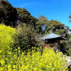 金龍寺の建物その他