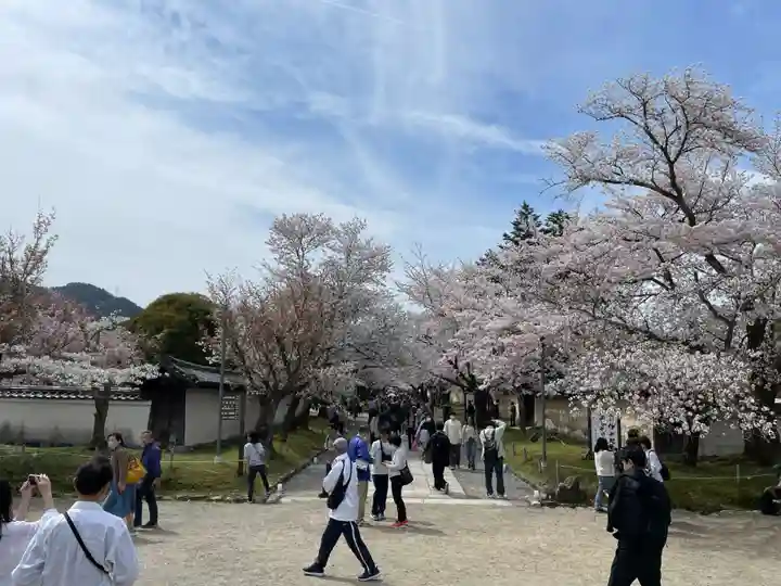 醍醐寺(京都府)