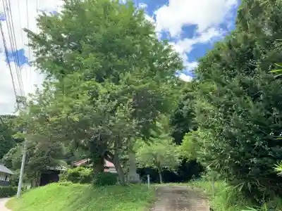 本栄寺(千葉県)