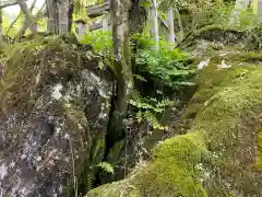 石山寺の自然