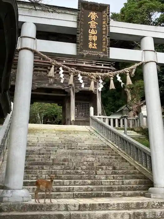 金華山黄金山神社の鳥居