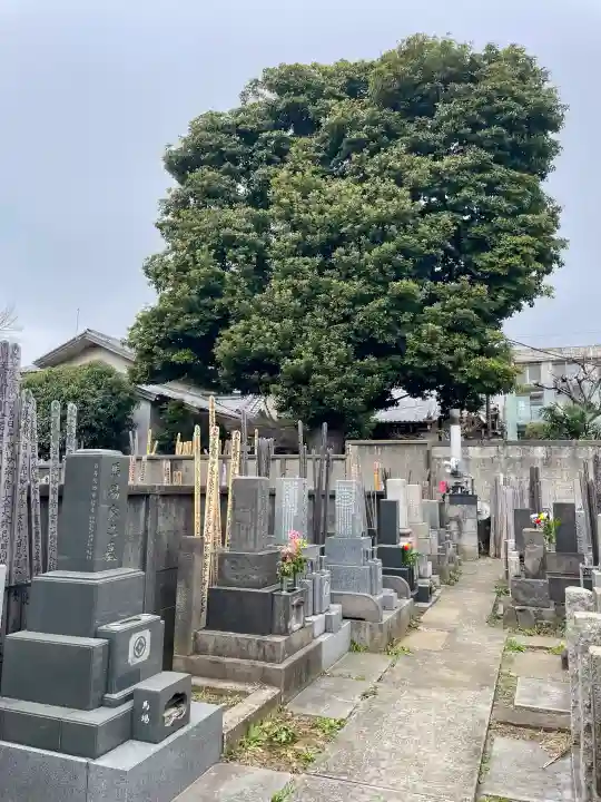 本光寺の{uncategorized: "未分類", other: "その他", undefined: "問題あり", building: "その他建物", grave: "お墓", sacred_gate: "鳥居", guardian: "狛犬", statue: "像", buddha: "仏像", history: "歴史", nature: "自然", garden: "庭園", animal: "動物", pagoda: "塔", temizu: "手水舎", mountain_gate: "山門・神門", sanctuary: "本殿・本堂", subordinate: "末社・摂社", art: "芸術", scenery: "景色", jizo: "地蔵", ema: "絵馬", goshuin: "御朱印", omikuji: "おみくじ", items: "授与品その他", amulet: "お守り", goshuincho: "御朱印帳", eats: "食事", festival: "お祭り", votive_dance: "神楽", shichigosan: "七五三参", wedding: "結婚式", experience: "体験その他", initially: "初詣", around: "周辺", anti_infection: "感染症対策"}