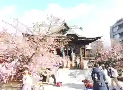 桜神宮(東京都)