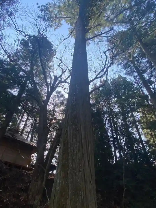 潮山神社の自然