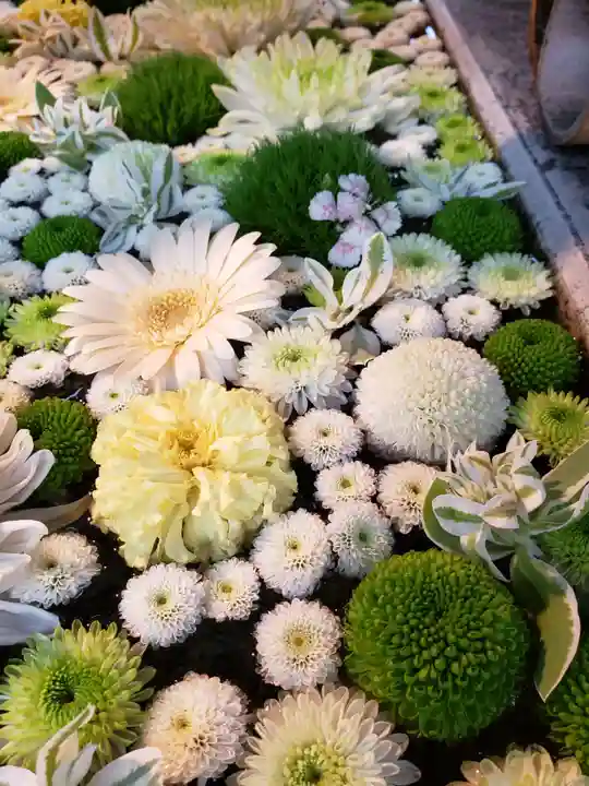 高円寺氷川神社の手水舎