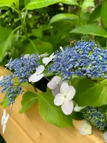 太平山神社(栃木県)