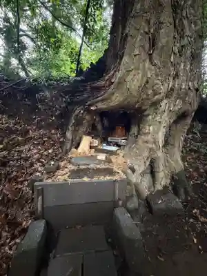 霧島岑神社(宮崎県)