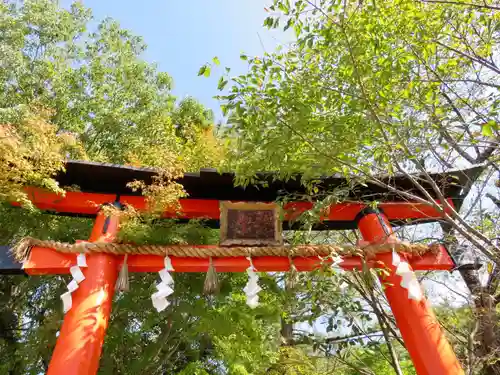 宇治上神社の鳥居