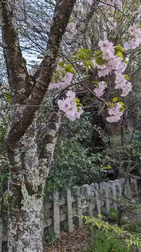 平野神社(京都府)