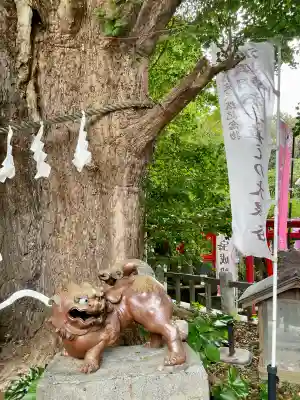 海南神社(神奈川県)