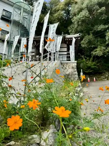 多度観音堂のその他建物