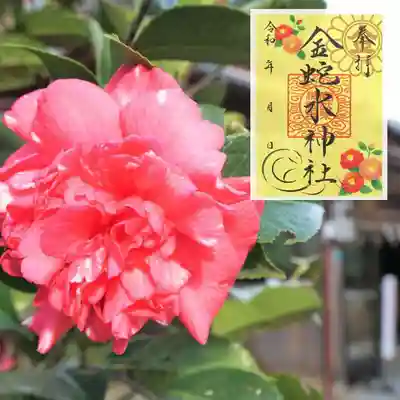 金蛇水神社(宮城県)