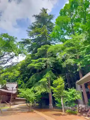 北野天神社(埼玉県)