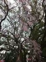 熊野本宮大社(和歌山県)