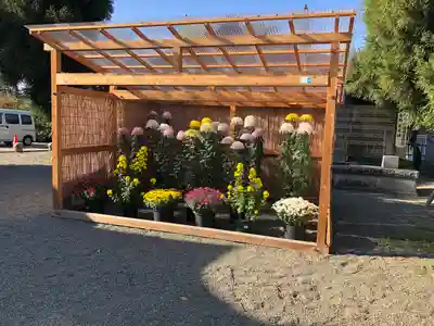 菅原神社(東京都)