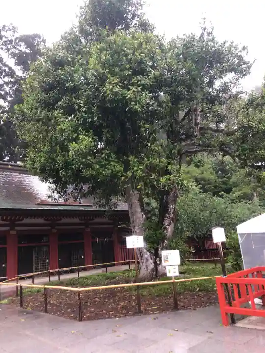 志波彦神社・鹽竈神社(宮城県)
