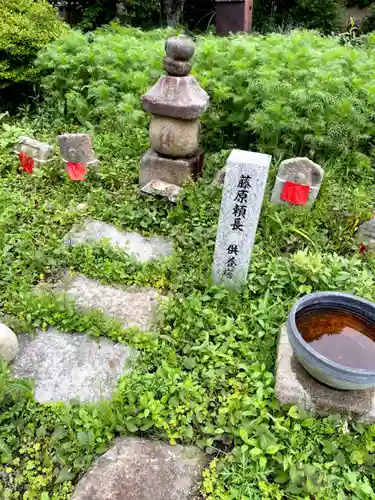 般若寺 ❁﻿コスモス寺❁(奈良県)