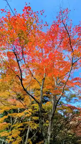 勝尾寺(大阪府)