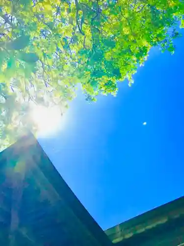 神崎神社のその他建物