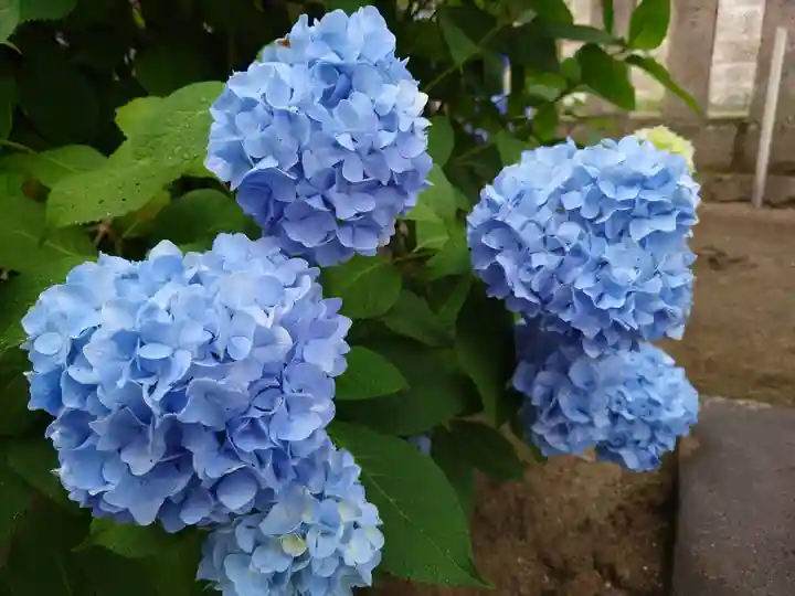 今宮神社 十二支社(栃木県)