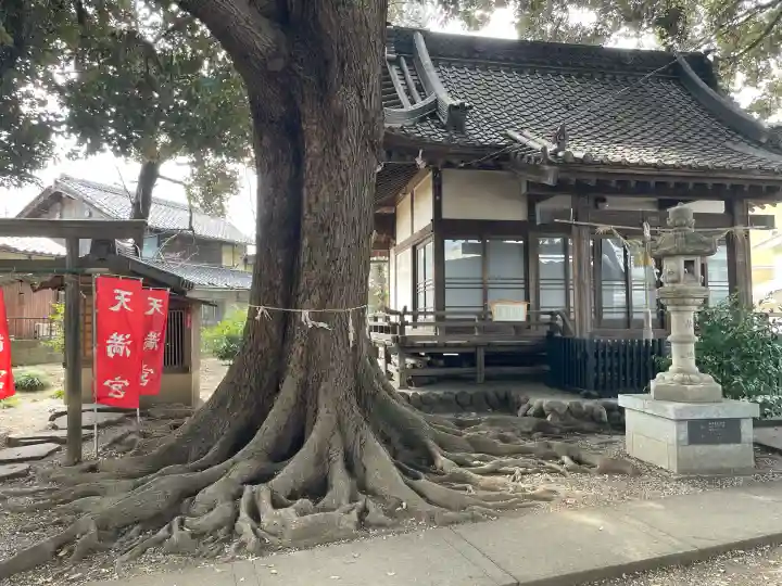 諏訪大神社 の{uncategorized: "未分類", other: "その他", undefined: "問題あり", building: "その他建物", grave: "お墓", sacred_gate: "鳥居", guardian: "狛犬", statue: "像", buddha: "仏像", history: "歴史", nature: "自然", garden: "庭園", animal: "動物", pagoda: "塔", temizu: "手水舎", mountain_gate: "山門・神門", sanctuary: "本殿・本堂", subordinate: "末社・摂社", art: "芸術", scenery: "景色", jizo: "地蔵", ema: "絵馬", goshuin: "御朱印", omikuji: "おみくじ", items: "授与品その他", amulet: "お守り", goshuincho: "御朱印帳", eats: "食事", festival: "お祭り", votive_dance: "神楽", shichigosan: "七五三参", wedding: "結婚式", experience: "体験その他", initially: "初詣", around: "周辺", anti_infection: "感染症対策"}