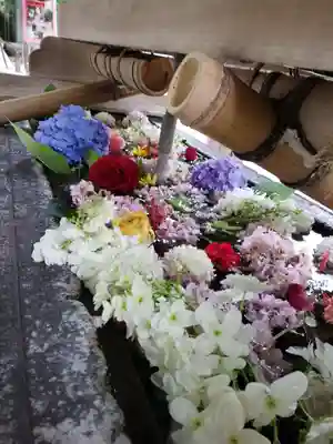 鳩森八幡神社(東京都)