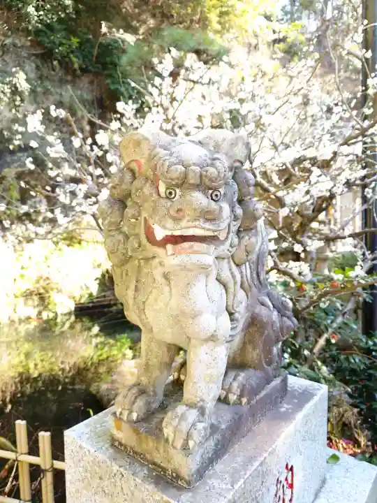 銭洗弁財天宇賀福神社の{uncategorized: "未分類", other: "その他", undefined: "問題あり", building: "その他建物", grave: "お墓", sacred_gate: "鳥居", guardian: "狛犬", statue: "像", buddha: "仏像", history: "歴史", nature: "自然", garden: "庭園", animal: "動物", pagoda: "塔", temizu: "手水舎", mountain_gate: "山門・神門", sanctuary: "本殿・本堂", subordinate: "末社・摂社", art: "芸術", scenery: "景色", jizo: "地蔵", ema: "絵馬", goshuin: "御朱印", omikuji: "おみくじ", items: "授与品その他", amulet: "お守り", goshuincho: "御朱印帳", eats: "食事", festival: "お祭り", votive_dance: "神楽", shichigosan: "七五三参", wedding: "結婚式", experience: "体験その他", initially: "初詣", around: "周辺", anti_infection: "感染症対策"}
