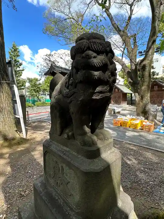 富岡八幡宮の狛犬