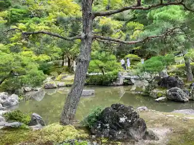慈照寺（慈照禅寺・銀閣寺）(京都府)