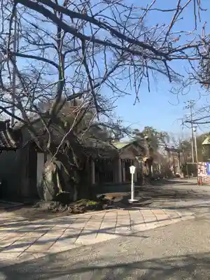 櫻宮のその他建物