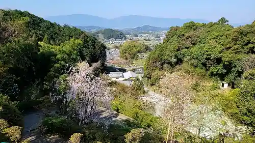岡寺（龍蓋寺）(奈良県)