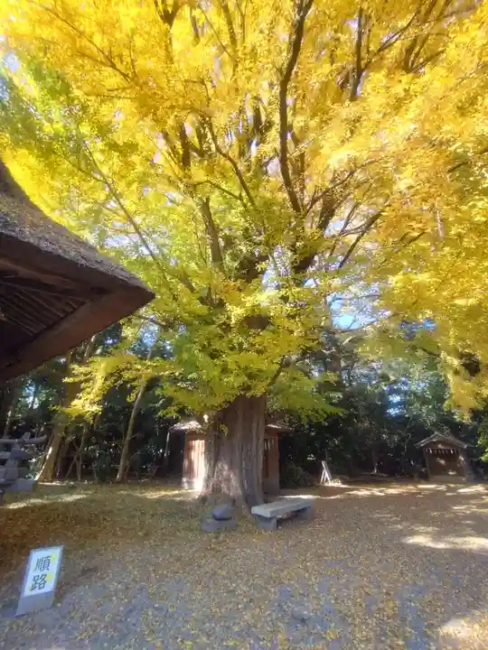 玉敷神社(埼玉県)