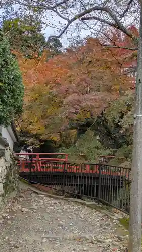服部神社(京都府)