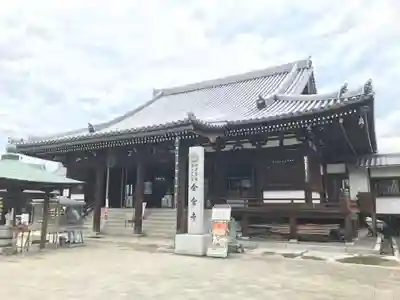 金倉寺の本殿・本堂