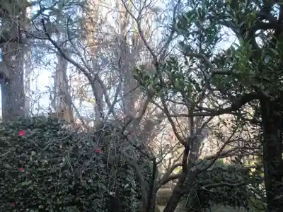 吉祥寺(東京都)