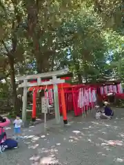 武蔵一宮氷川神社(埼玉県)