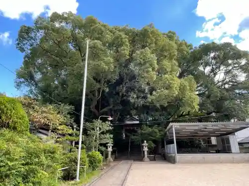 山王神社(長崎県)